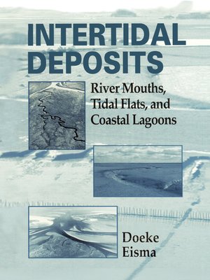 cover image of Intertidal Deposits